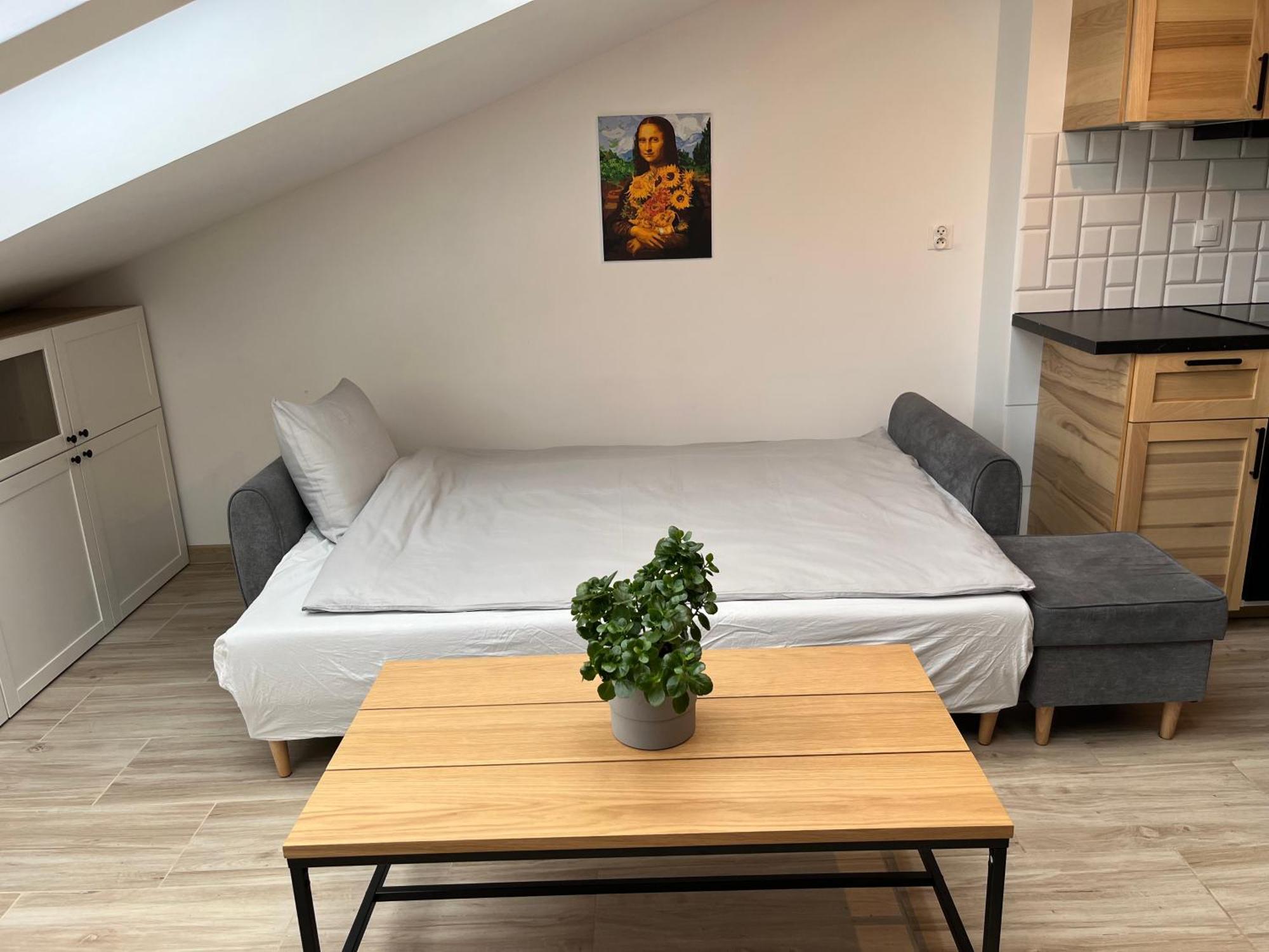 Feelhome Apartment With Kitchen Kraków Exteriör bild